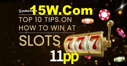 11pp